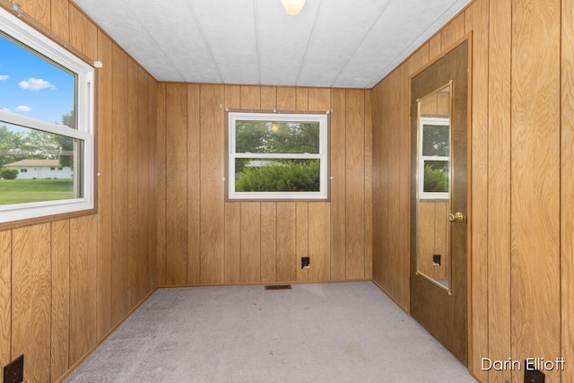 99 Aldon Ln, Ionia, MI 48846 - photo 18