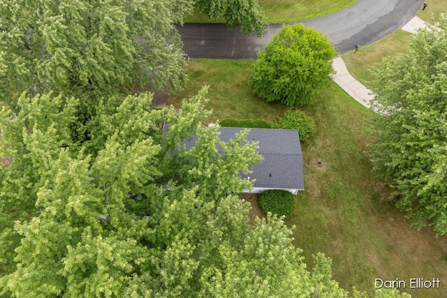 99 Aldon Ln, Ionia, MI 48846 - photo 27