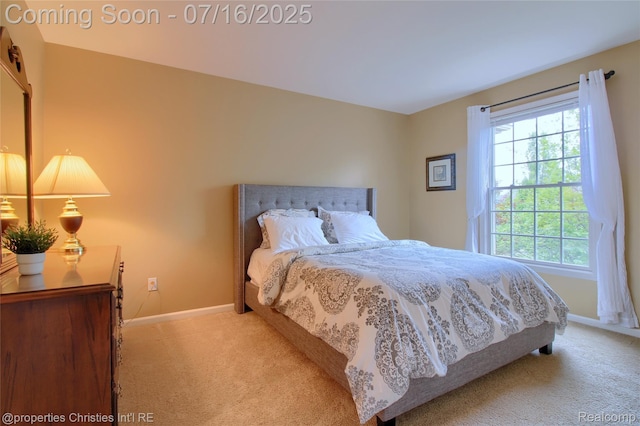 18026 Stonebrook Dr, Northville, MI 48168 - photo 33