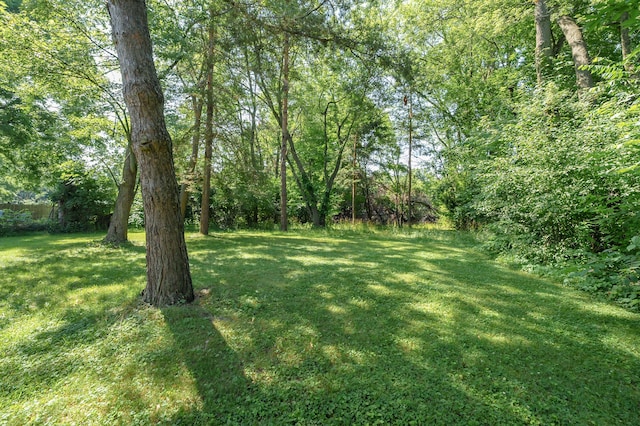 2516 Glendale Blvd, Kalamazoo, MI 49004 - photo 8