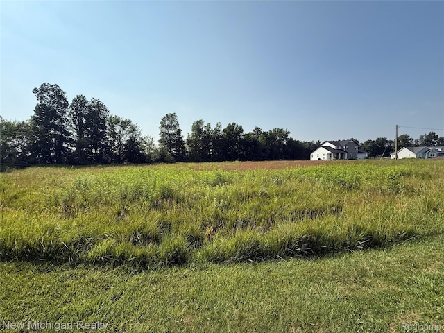 9807 Oak Ridge Rd, New Lothrop, MI 48460 - photo 5