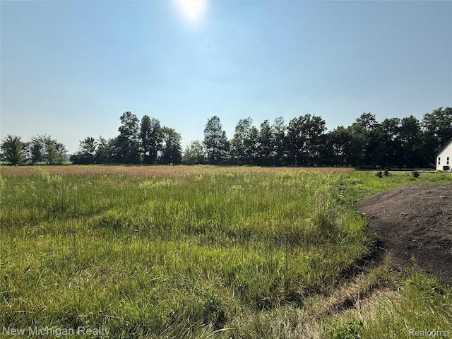 9807 Oak Ridge Rd, New Lothrop, MI 48460 - photo 1