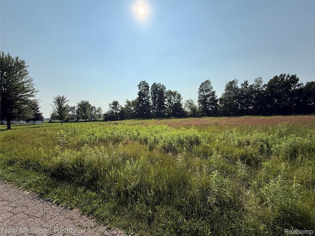 9807 Oak Ridge Rd, New Lothrop, MI 48460 - photo 7