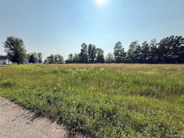9807 Oak Ridge Rd, New Lothrop, MI 48460 - photo 9