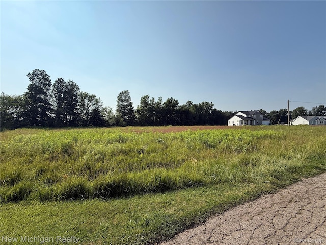 9807 Oak Ridge Rd, New Lothrop, MI 48460 - photo 3