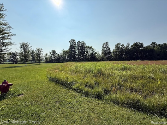 9807 Oak Ridge Rd, New Lothrop, MI 48460 - photo 4
