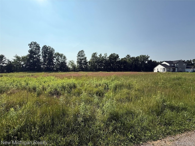 9807 Oak Ridge Rd, New Lothrop, MI 48460 - photo 8