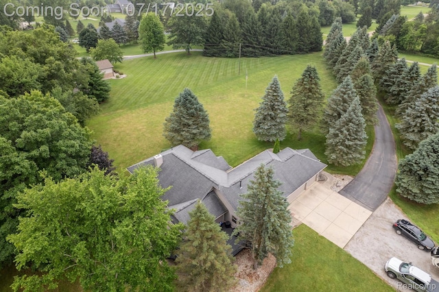1847 Brandy Ln, Brighton, MI 48114 - drone / aerial view
