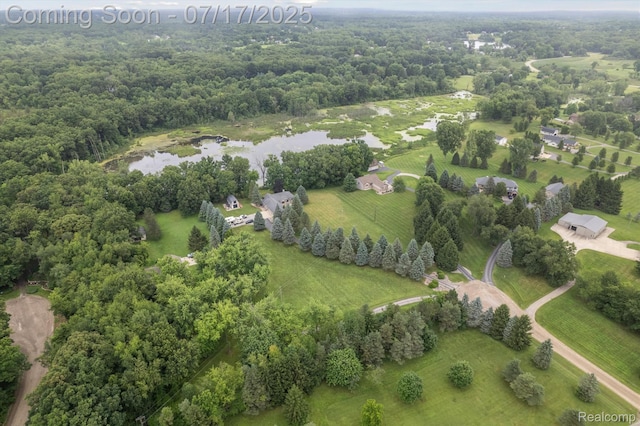 1847 Brandy Ln, Brighton, MI 48114 - overview of rural landscape with a large body of water