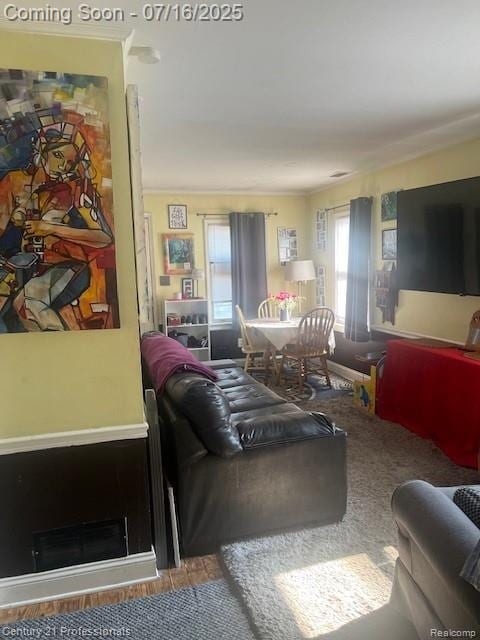 1107 E Hayes Ave, Hazel Park, MI 48030 - photo 14
