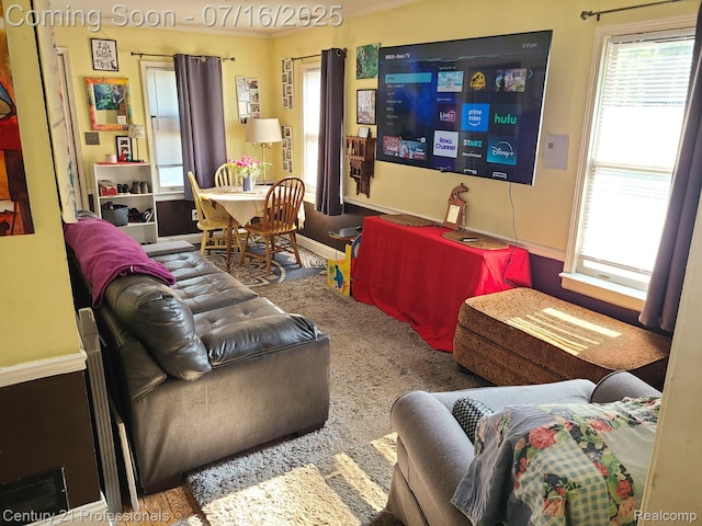 1107 E Hayes Ave, Hazel Park, MI 48030 - photo 10