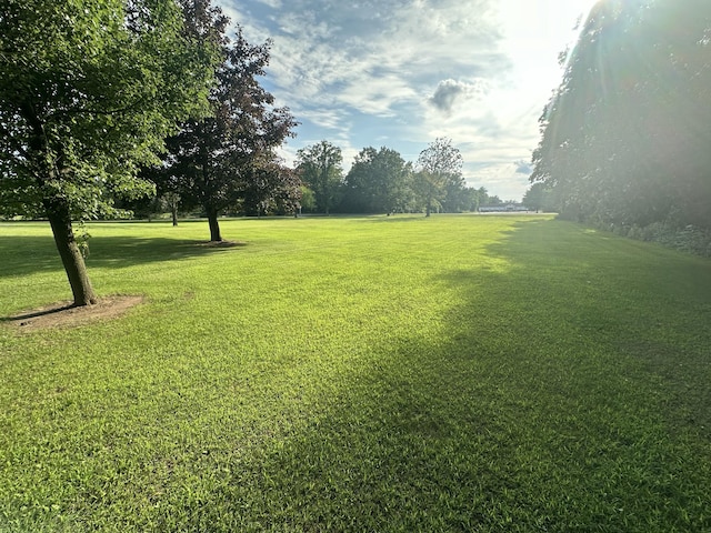 6089 Reynolds Rd, Jackson, MI 49201 - photo 38