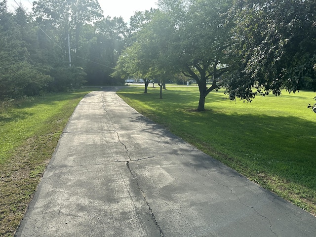 6089 Reynolds Rd, Jackson, MI 49201 - photo 44