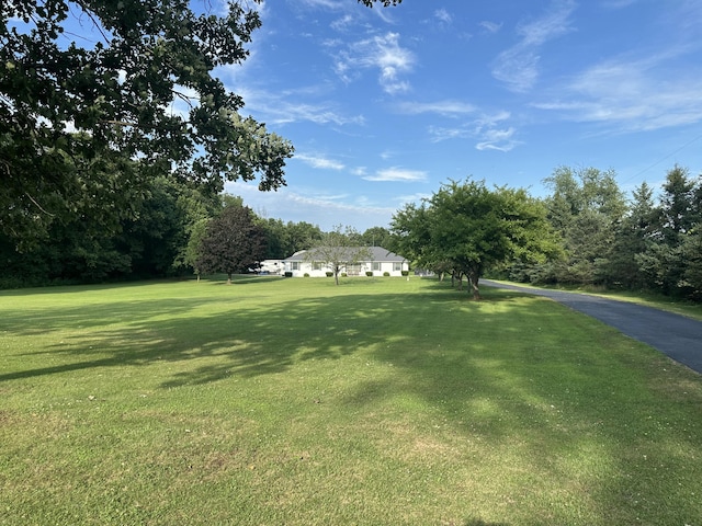 6089 Reynolds Rd, Jackson, MI 49201 - photo 72