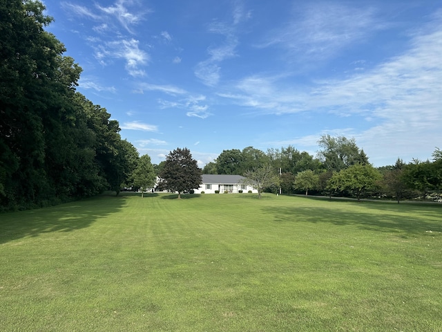 6089 Reynolds Rd, Jackson, MI 49201 - photo 74
