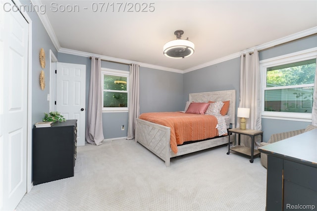 13465 Lakebrook Dr, Fenton, MI 48430 - photo 13