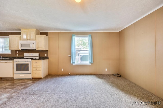 927 W Lake Dr Unit 38, Fremont, MI 49412 - photo 7