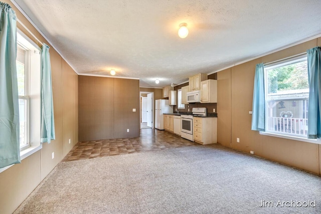 927 W Lake Dr Unit 38, Fremont, MI 49412 - photo 8