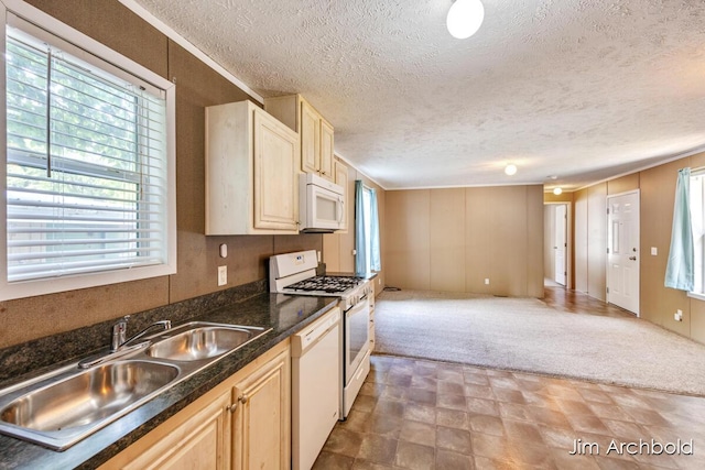 927 W Lake Dr Unit 38, Fremont, MI 49412 - photo 9