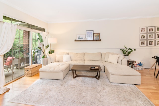 225 W Oakbrook Dr, Ann Arbor, MI 48103 - living room with ornamental molding and wood finished floors