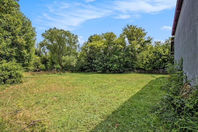 2597 E Glendora Rd, Buchanan, MI 49107 - view of grassy yard
