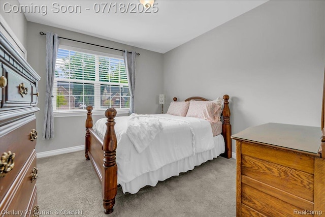 21150 Bryce Ct, Romulus, MI 48174 - bedroom with carpet flooring and baseboards
