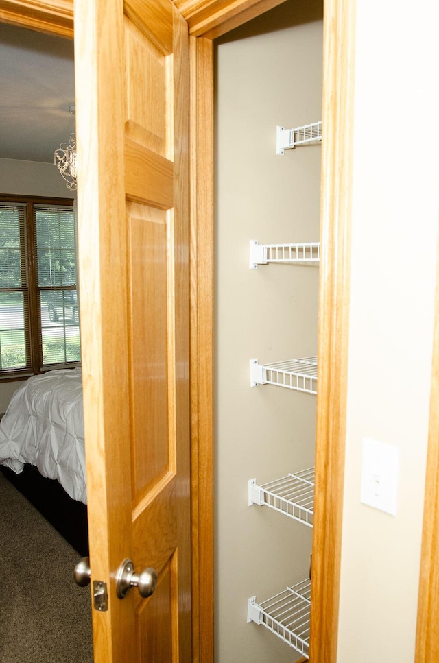 11734 Lindy Ct, Rockford, MI 49341 - view of closet