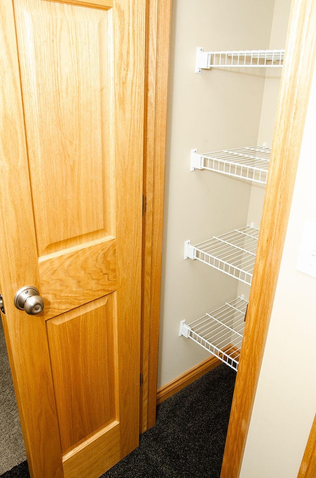 11734 Lindy Ct, Rockford, MI 49341 - view of closet