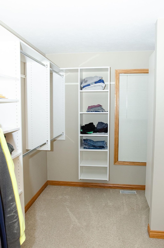 11734 Lindy Ct, Rockford, MI 49341 - walk in closet featuring carpet