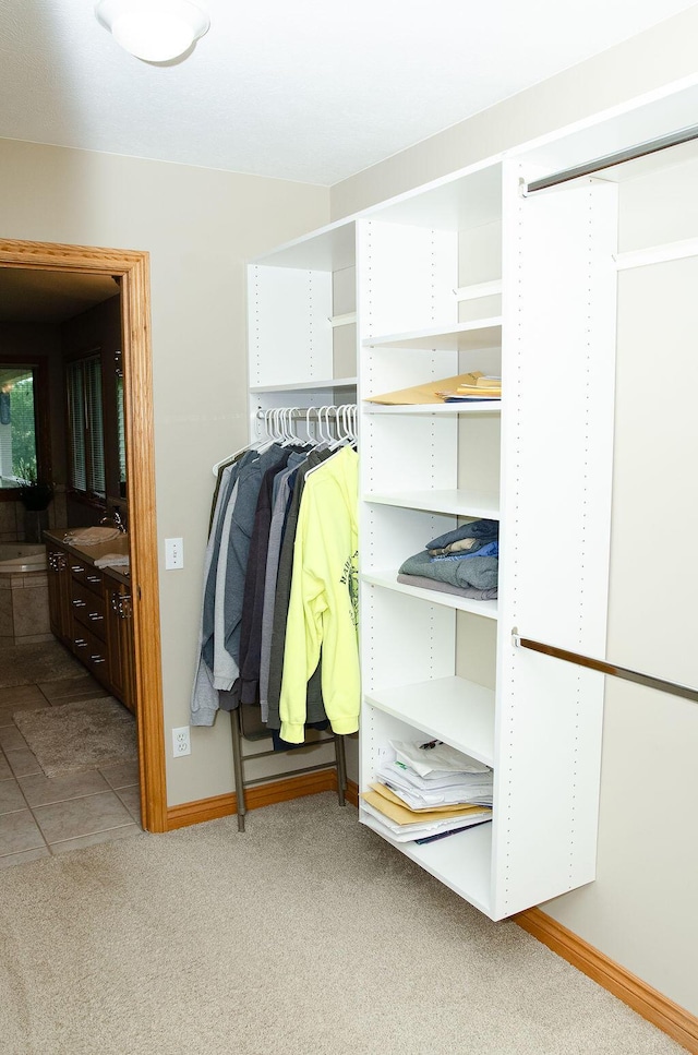 11734 Lindy Ct, Rockford, MI 49341 - walk in closet with carpet floors