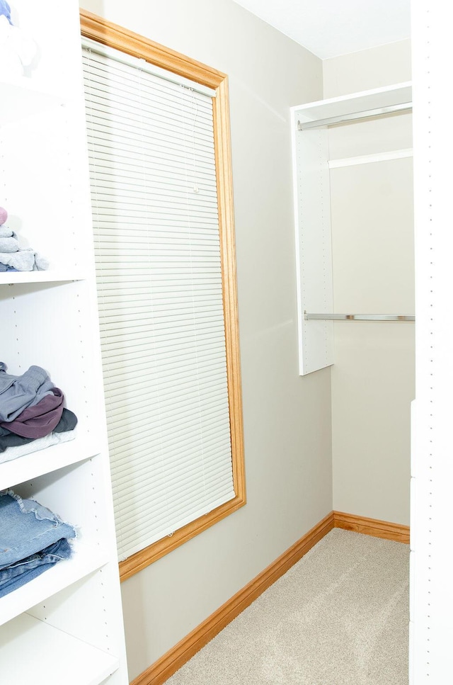 11734 Lindy Ct, Rockford, MI 49341 - walk in closet featuring carpet flooring