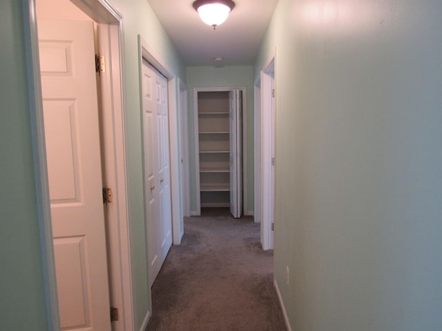 4237 W Grand Blanc Rd, Swartz Creek, MI 48473 - hallway with dark carpet and baseboards