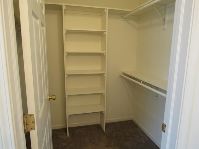 4237 W Grand Blanc Rd, Swartz Creek, MI 48473 - spacious closet featuring dark colored carpet