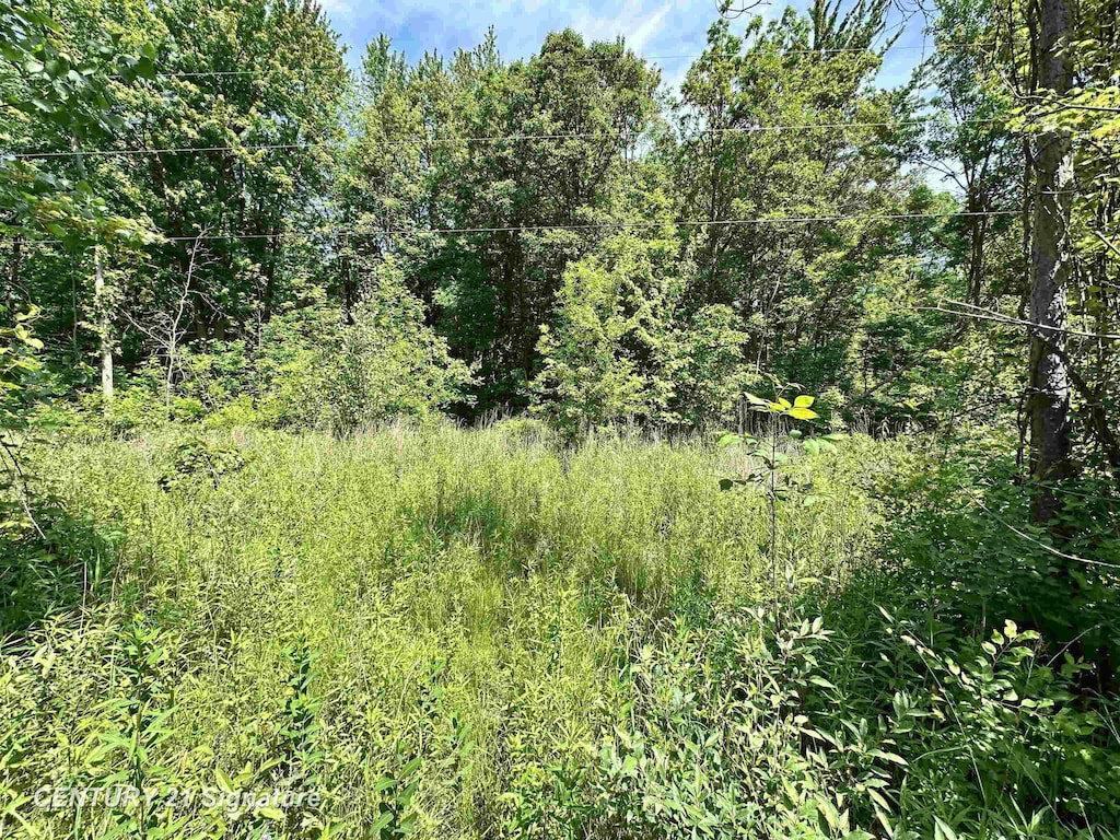 VL Dale Rd, Beaverton, MI 48612 - photo 1