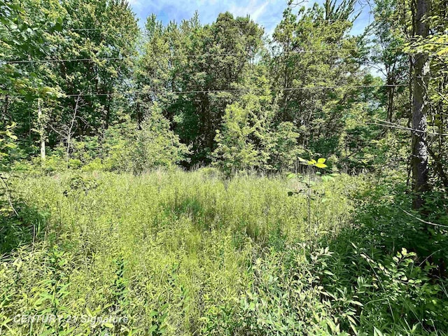 VL Dale Rd, Beaverton, MI 48612 - photo 1