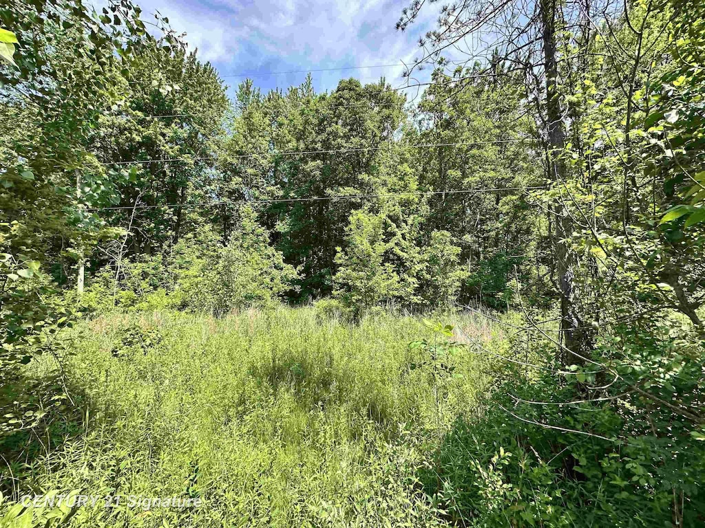 VL Dale Rd, Beaverton, MI 48612 - photo 3