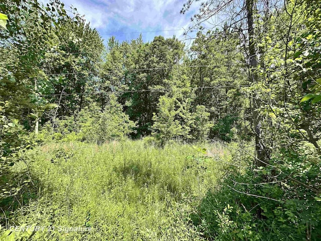 VL Dale Rd, Beaverton, MI 48612 - photo 3