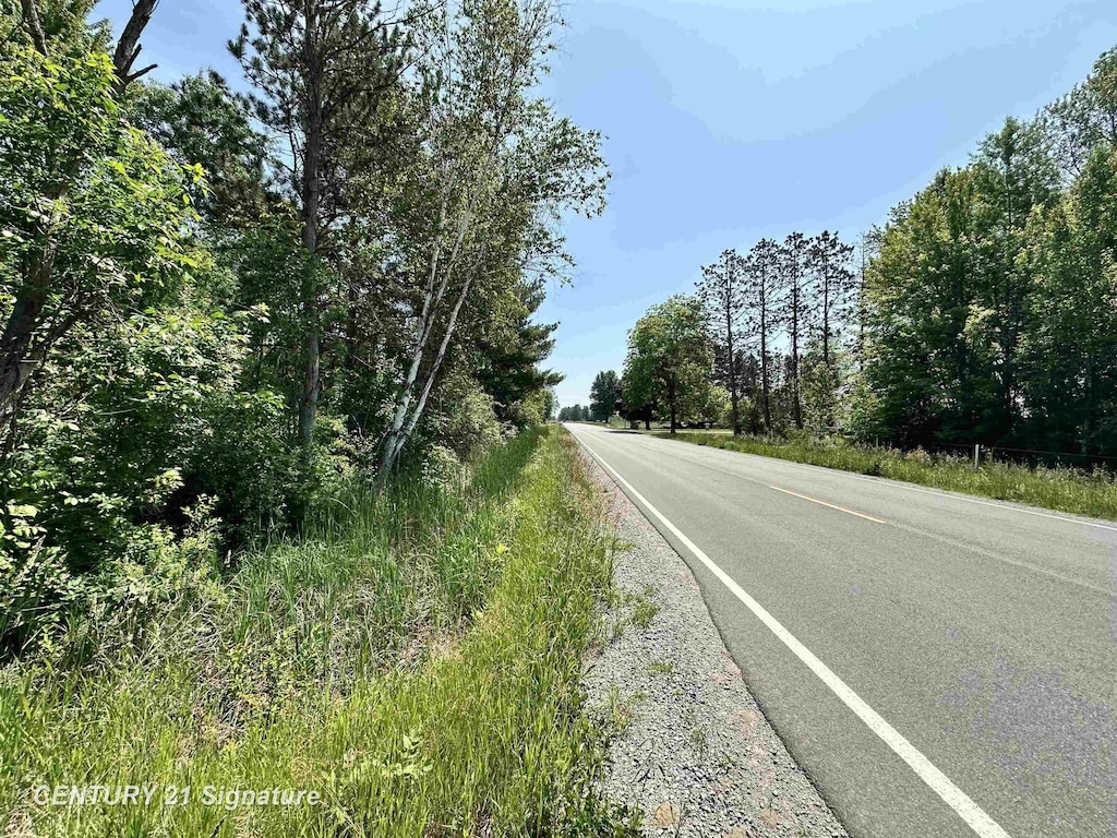 VL Dale Rd, Beaverton, MI 48612 - photo 2