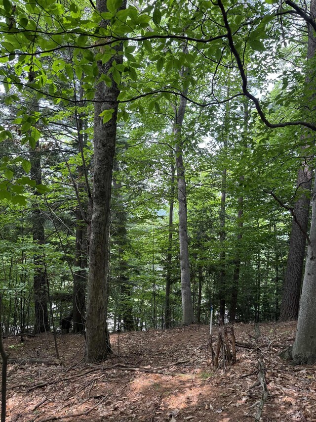 LOT18 Woods Dr, Traverse City, MI 49686 - photo 14