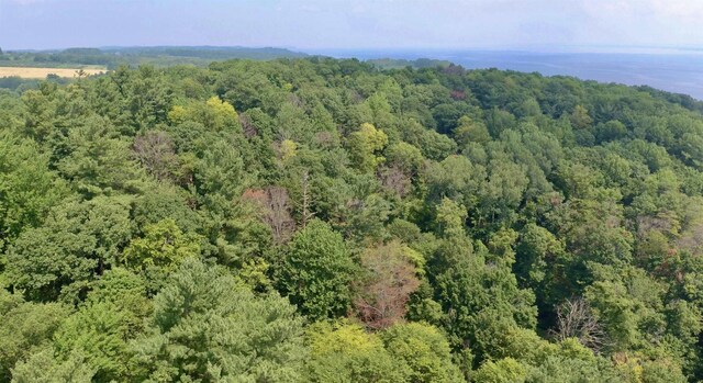 LOT18 Woods Dr, Traverse City, MI 49686 - photo 10