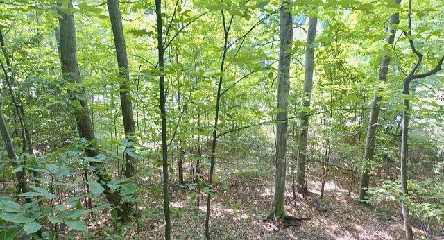 LOT18 Woods Dr, Traverse City, MI 49686 - photo 13