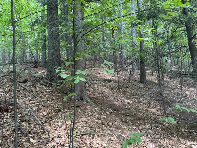 LOT18 Woods Dr, Traverse City, MI 49686 - photo 15