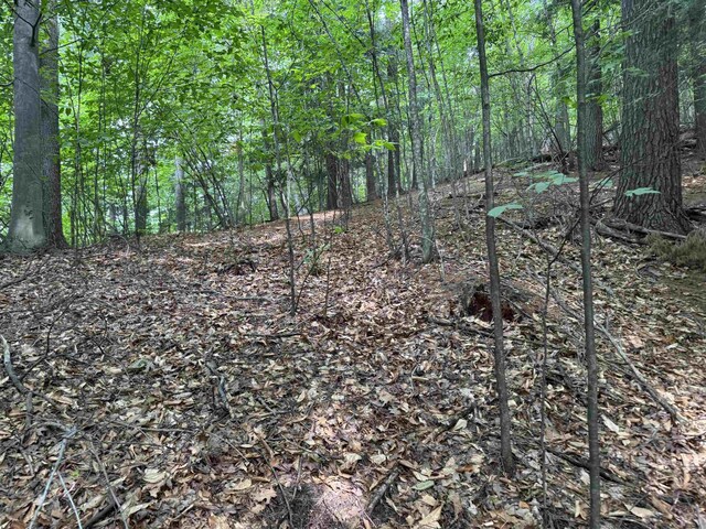 LOT18 Woods Dr, Traverse City, MI 49686 - photo 16