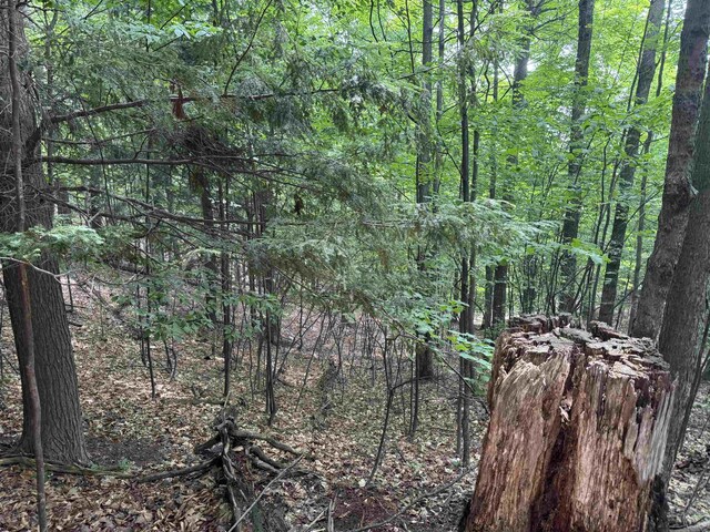 LOT18 Woods Dr, Traverse City, MI 49686 - photo 17