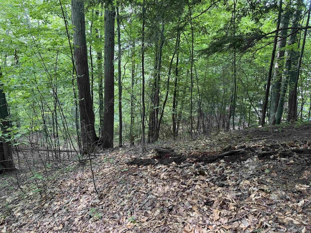 LOT18 Woods Dr, Traverse City, MI 49686 - photo 18