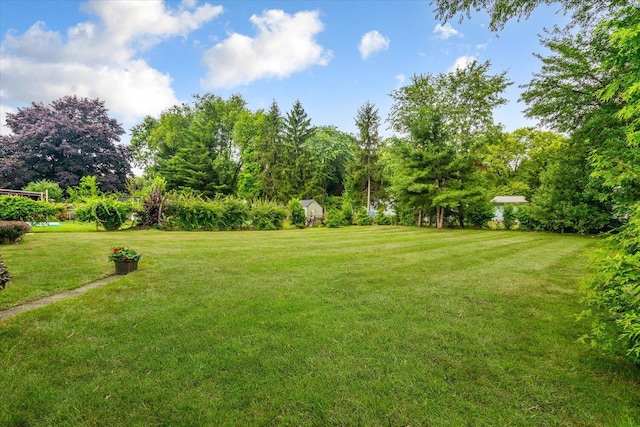1117 Turwill Ln, Kalamazoo, MI 49006 - photo 30