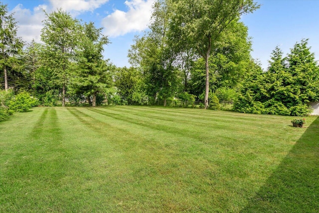 1117 Turwill Ln, Kalamazoo, MI 49006 - photo 31