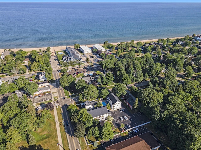220 Park Ave, South Haven, MI 49090 - aerial overview of property's location with extended coastline