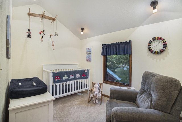 220 Park Ave, South Haven, MI 49090 - carpeted bedroom featuring lofted ceiling