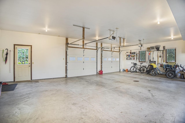 220 Park Ave, South Haven, MI 49090 - garage featuring a garage door opener